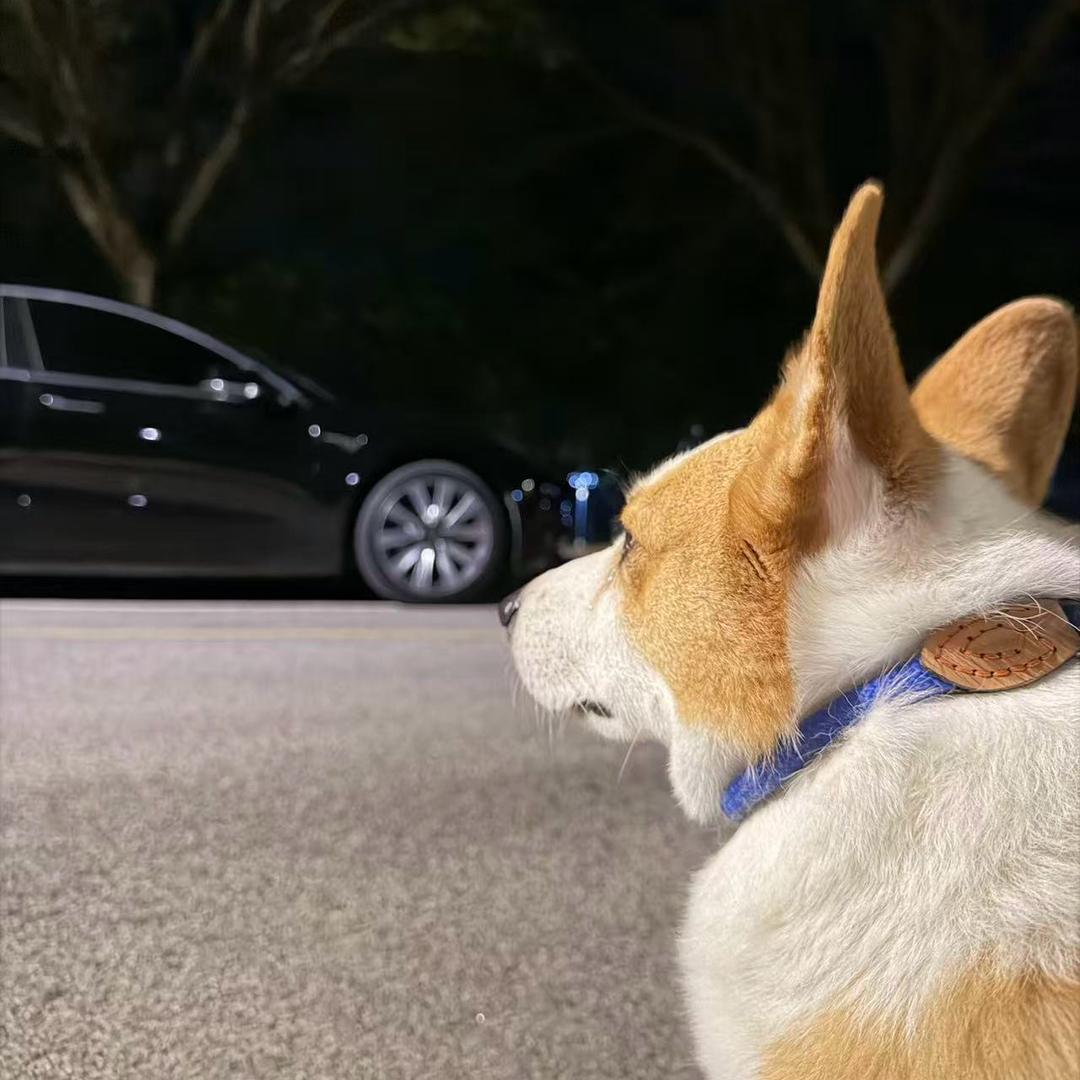 出了名的宠对象