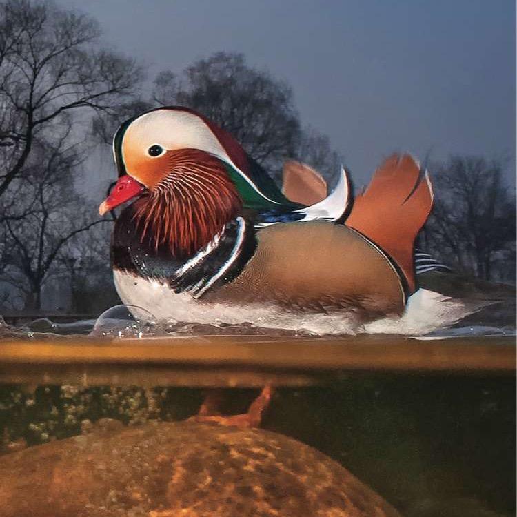 🈳️、❤️？🈳️靘