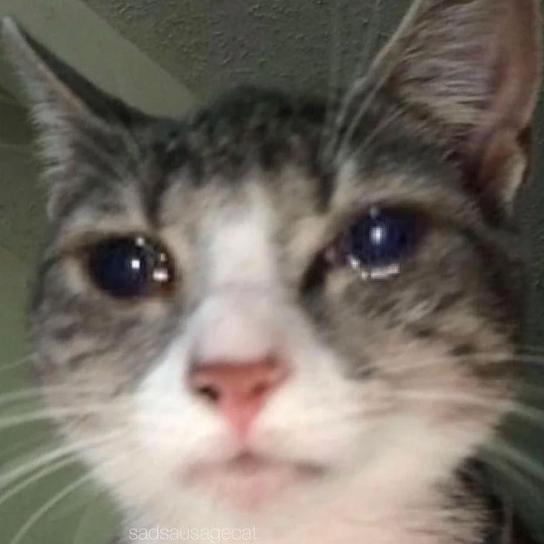 爱吃泡泡橘（不接）