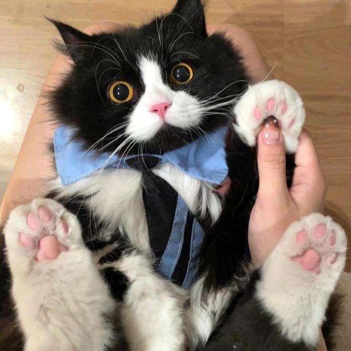 甜欣.