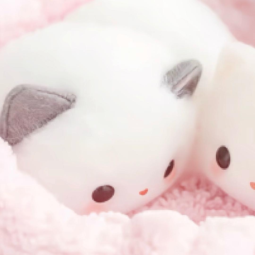 怀期
