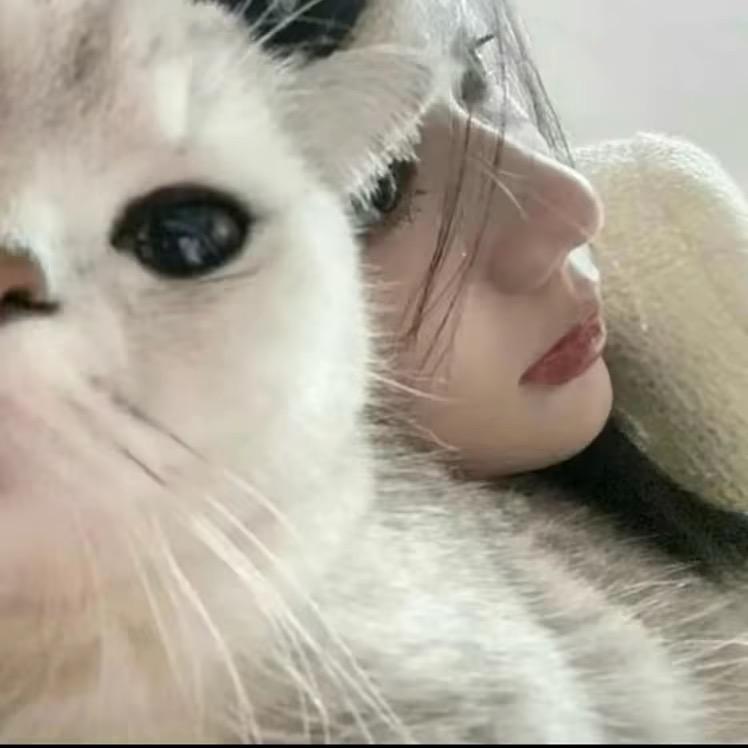 吃饱就犯困.
