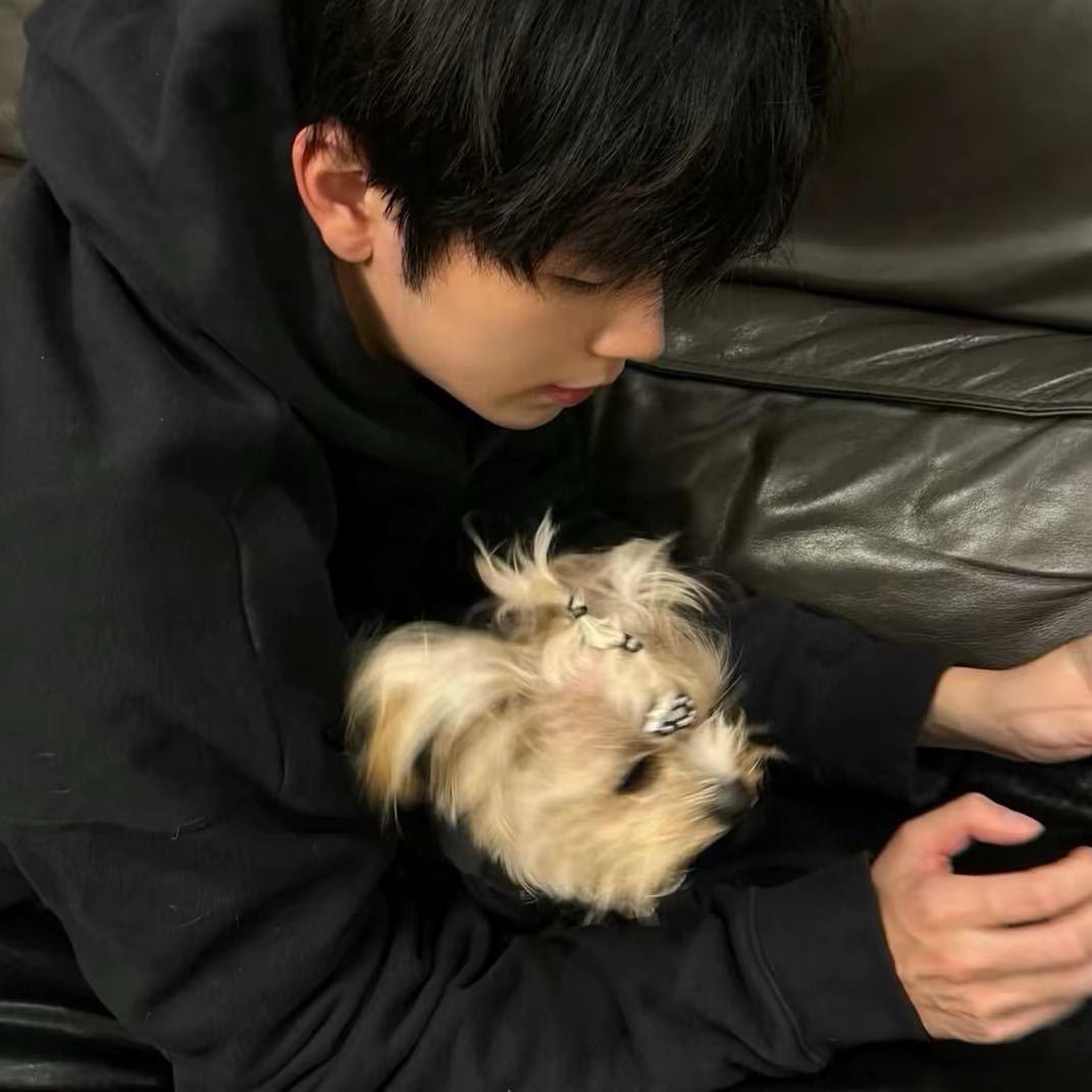 AAA辣椒炒肉拌面