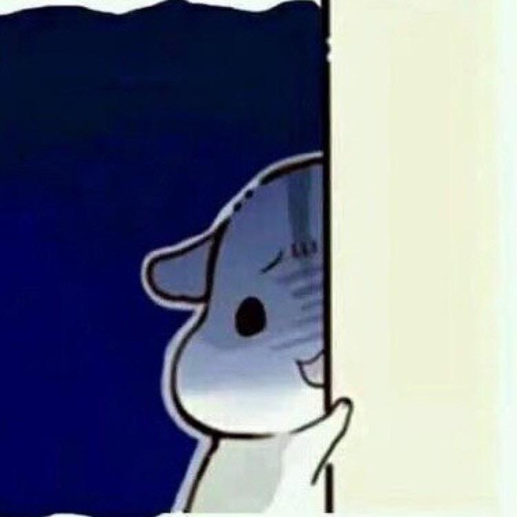 木双雨上