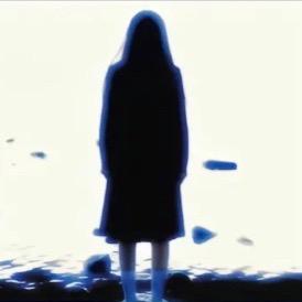 苹果核