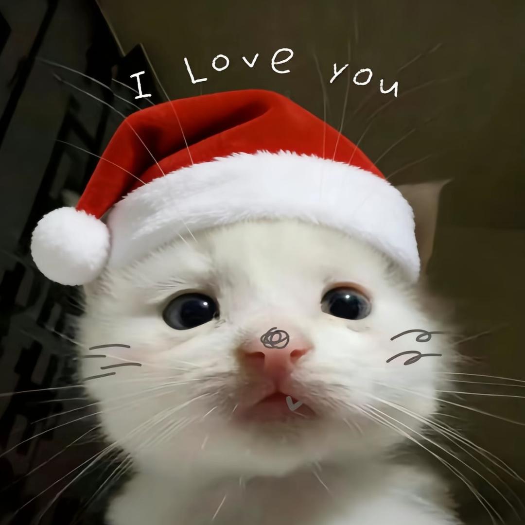 M.