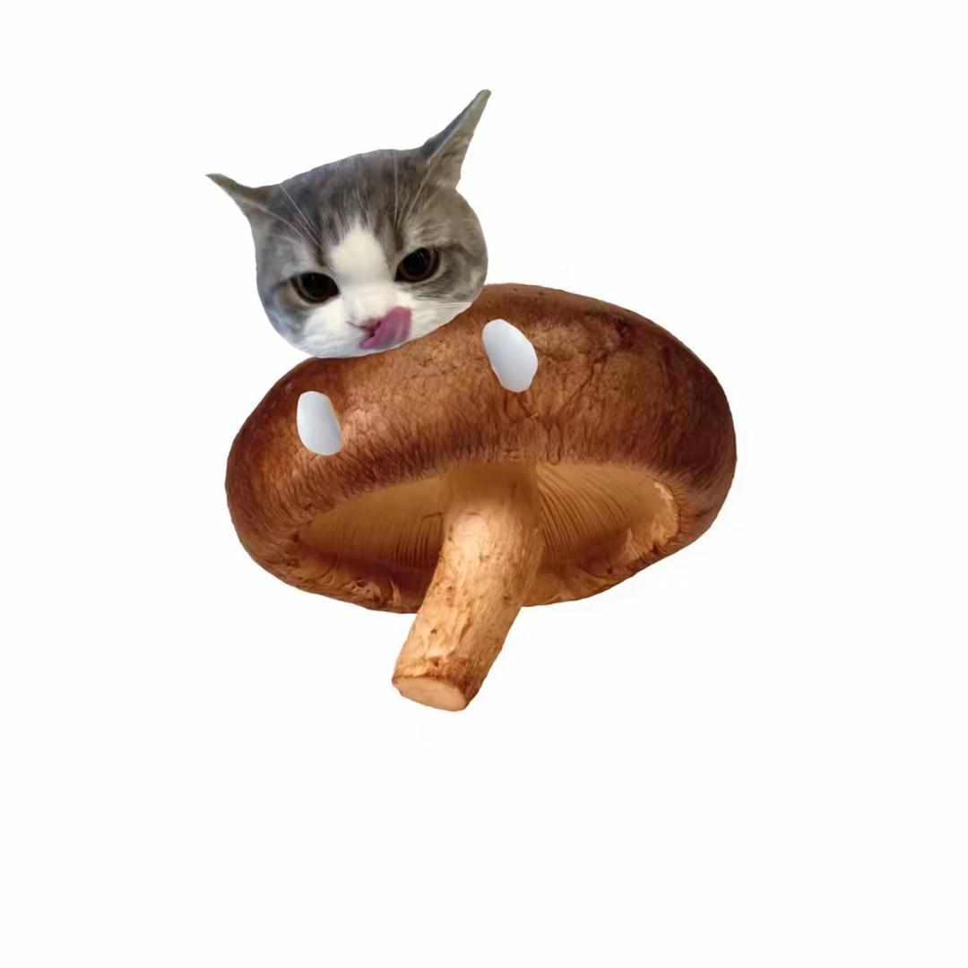 🍄