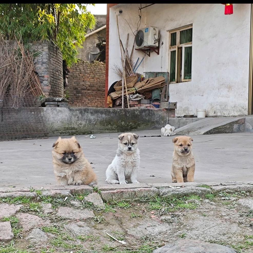 @小张很能吃🍭