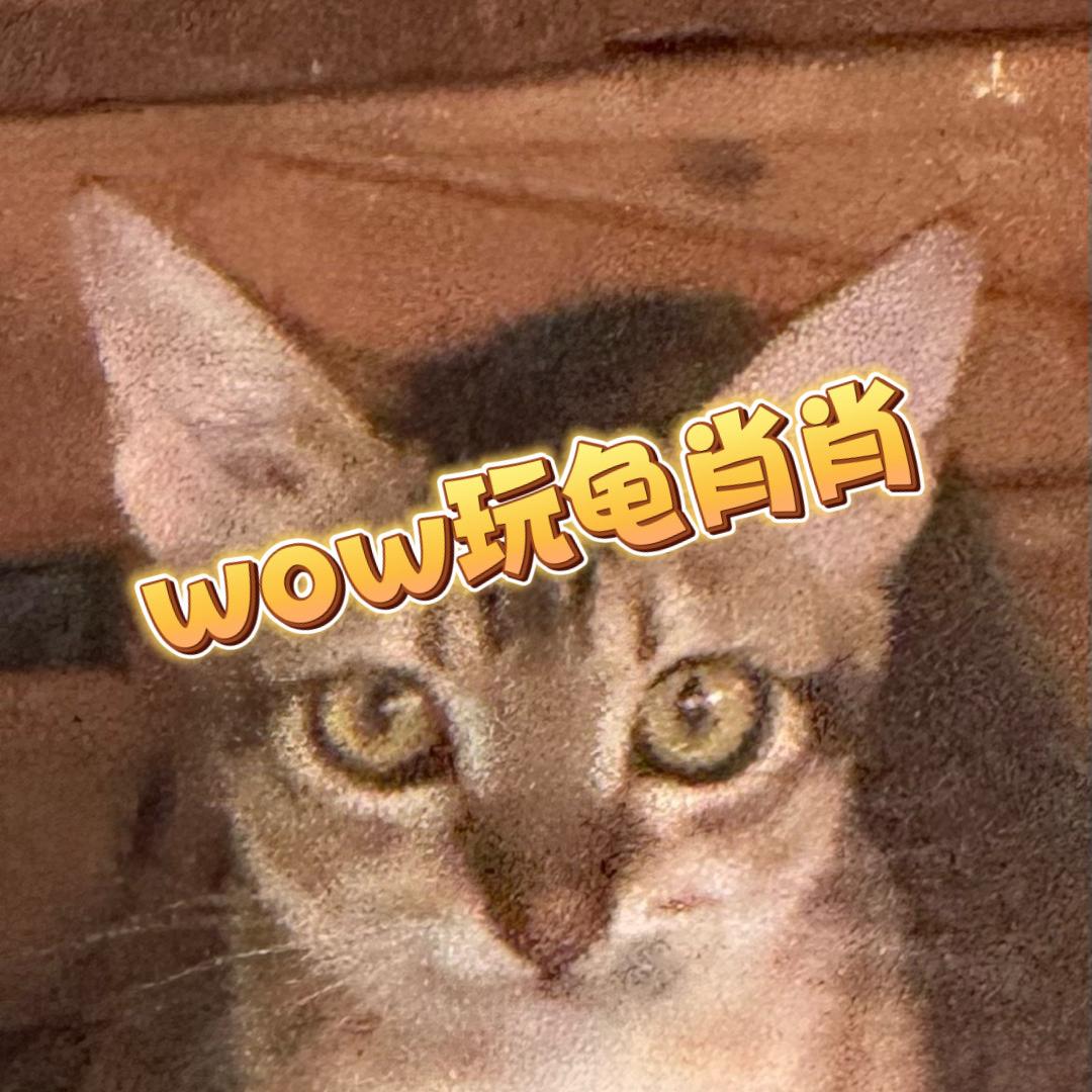 wow玩龟肖肖