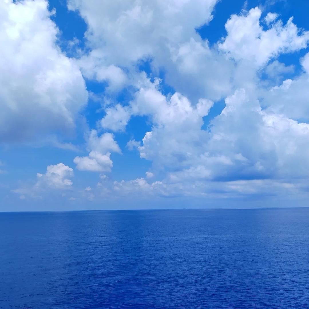 王海东
