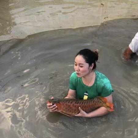 和龙坊水族 燕姐