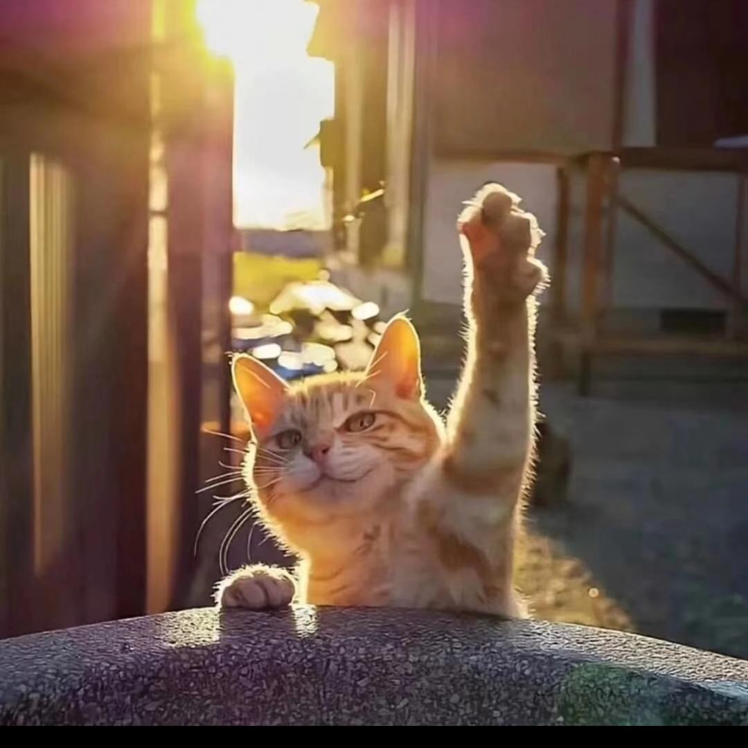 泽方混剪^