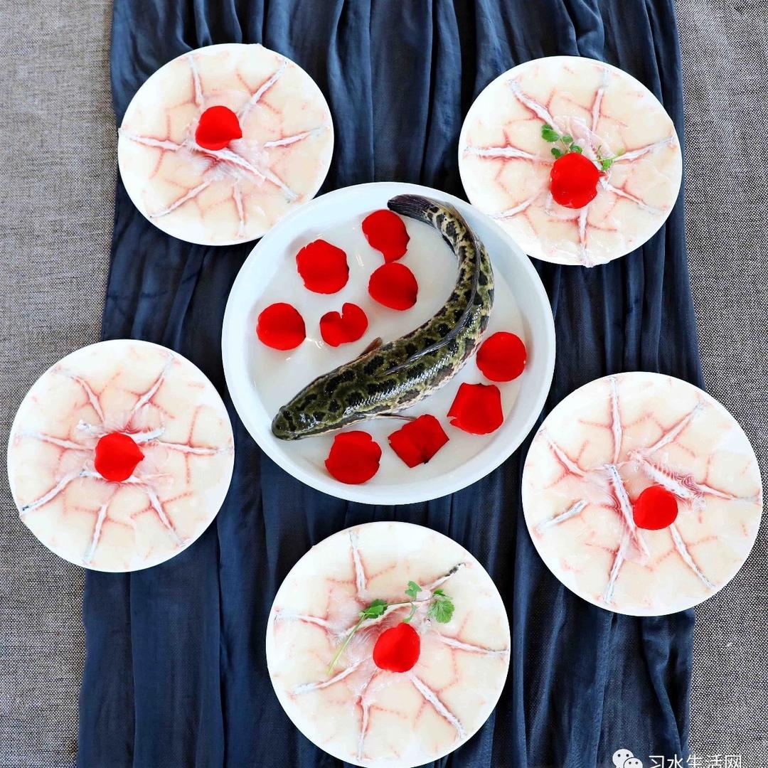 任俊豪