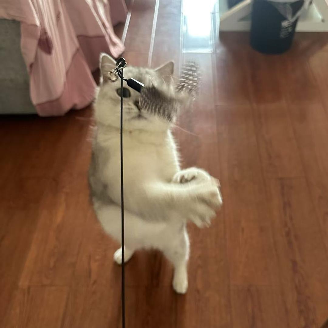 你压到我的腿毛了