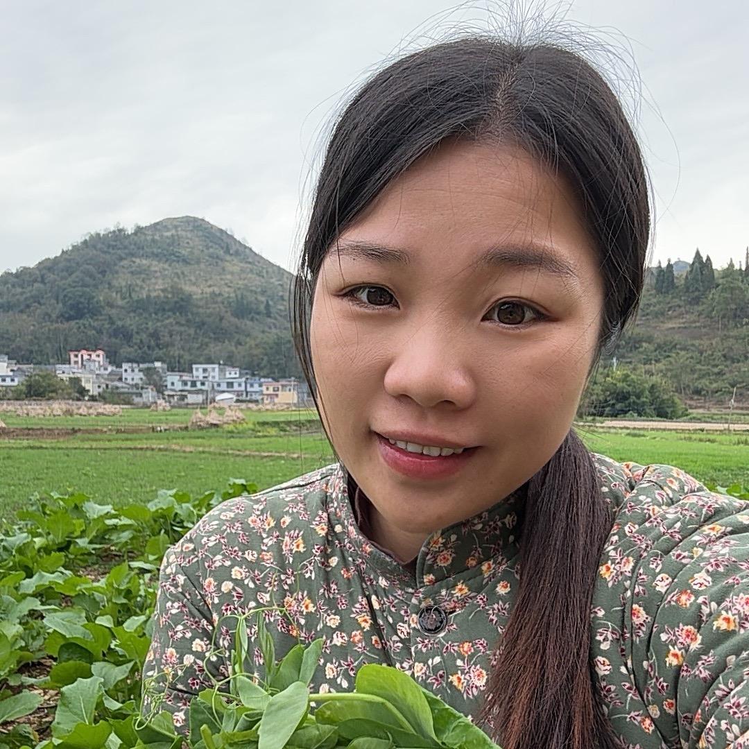 燕子和来福2