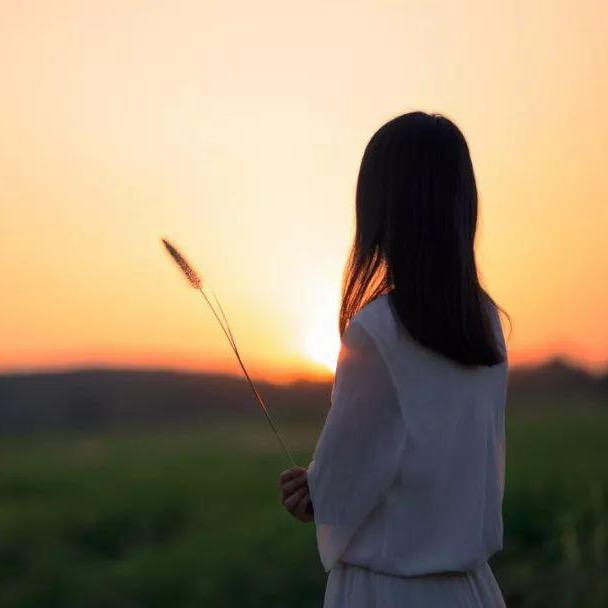 花不懂