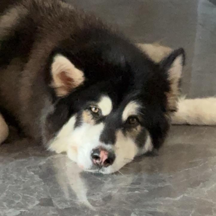 泽泽泽(不将就版)