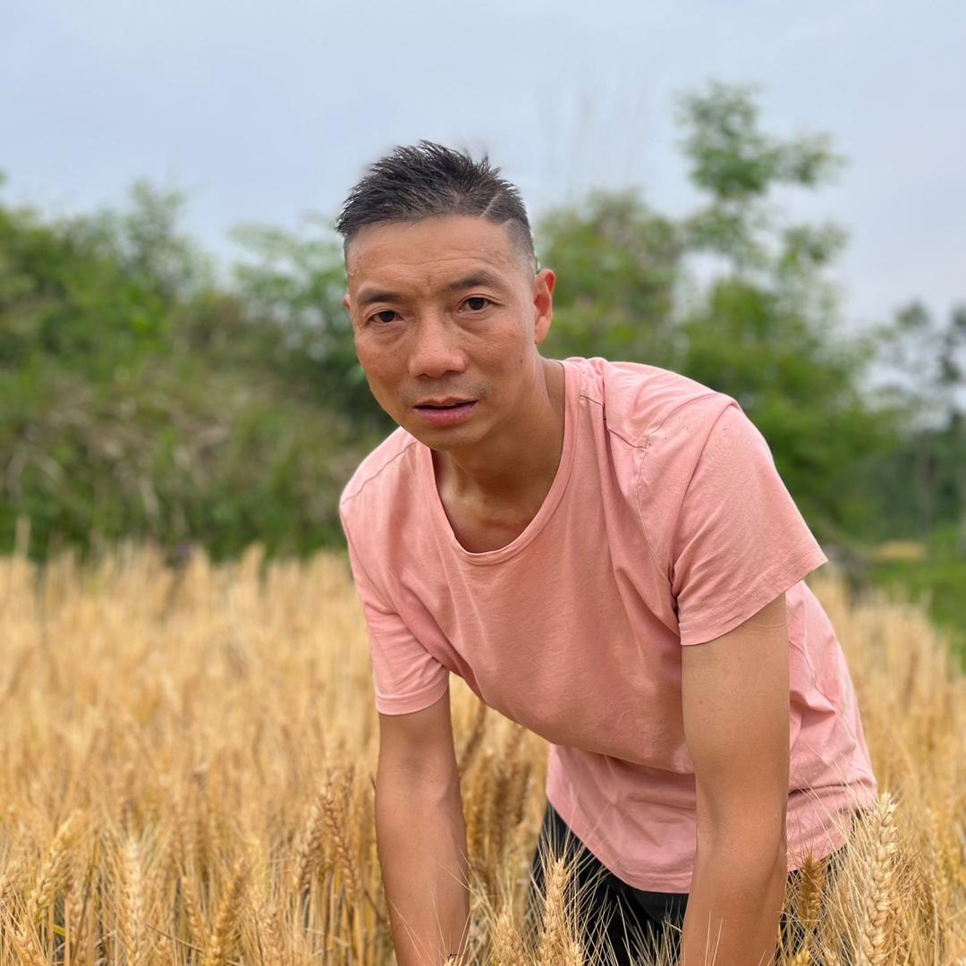 巴中刚老表