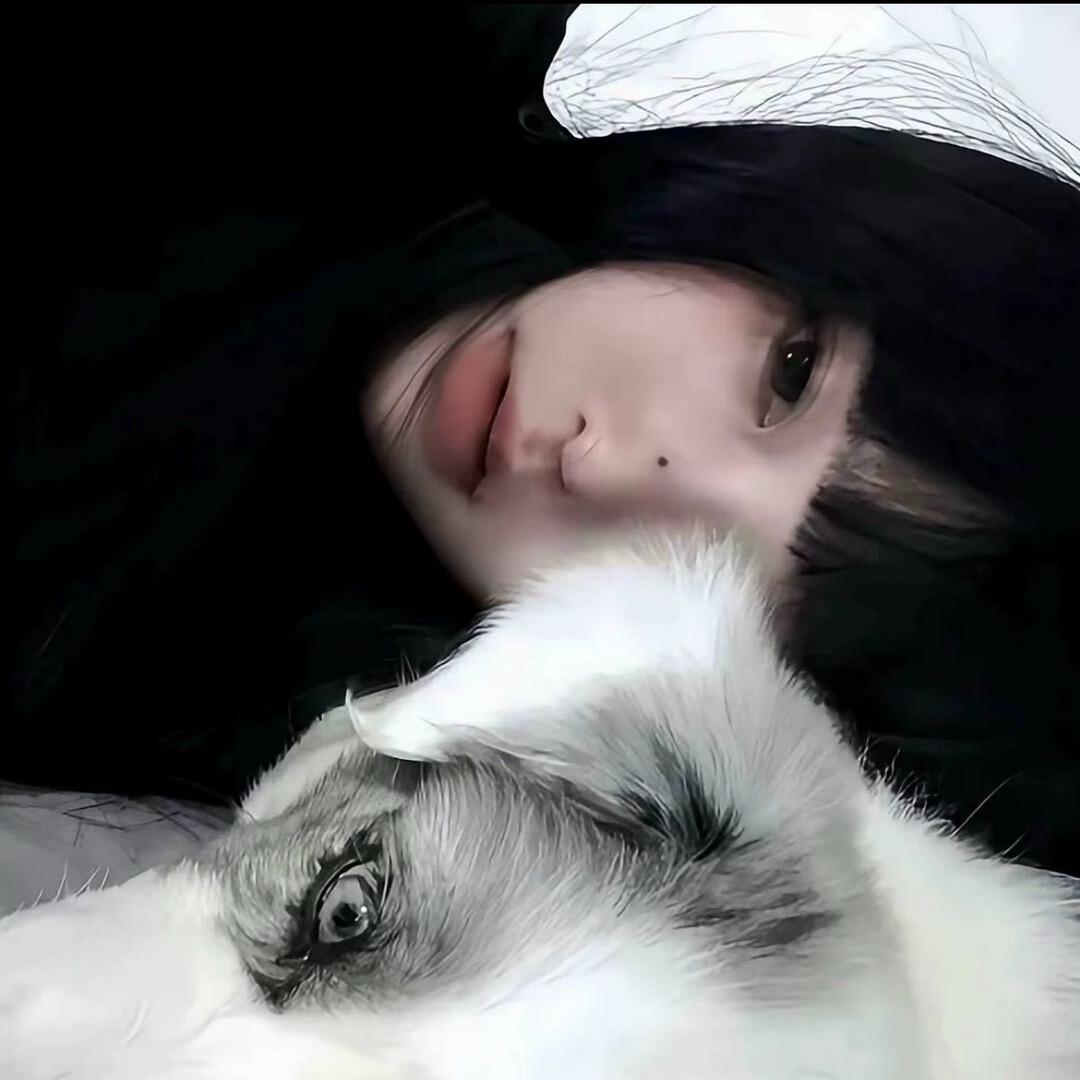 𝑷𝒊𝒀𝒓𝒊𝑯