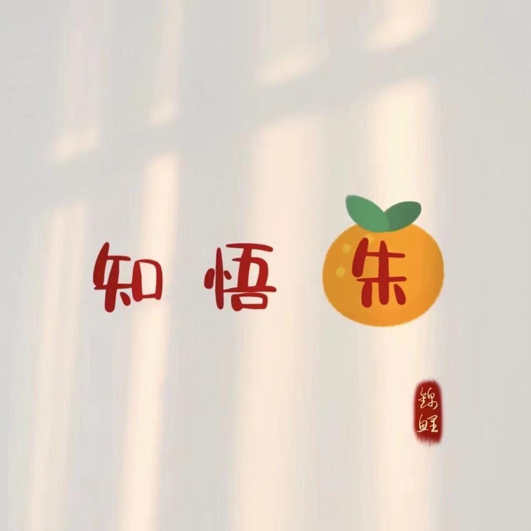 鑫之方  朱伟