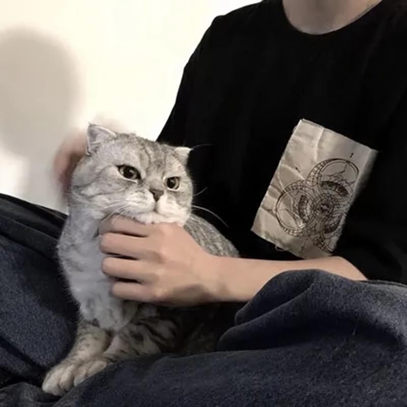 早点睡呀