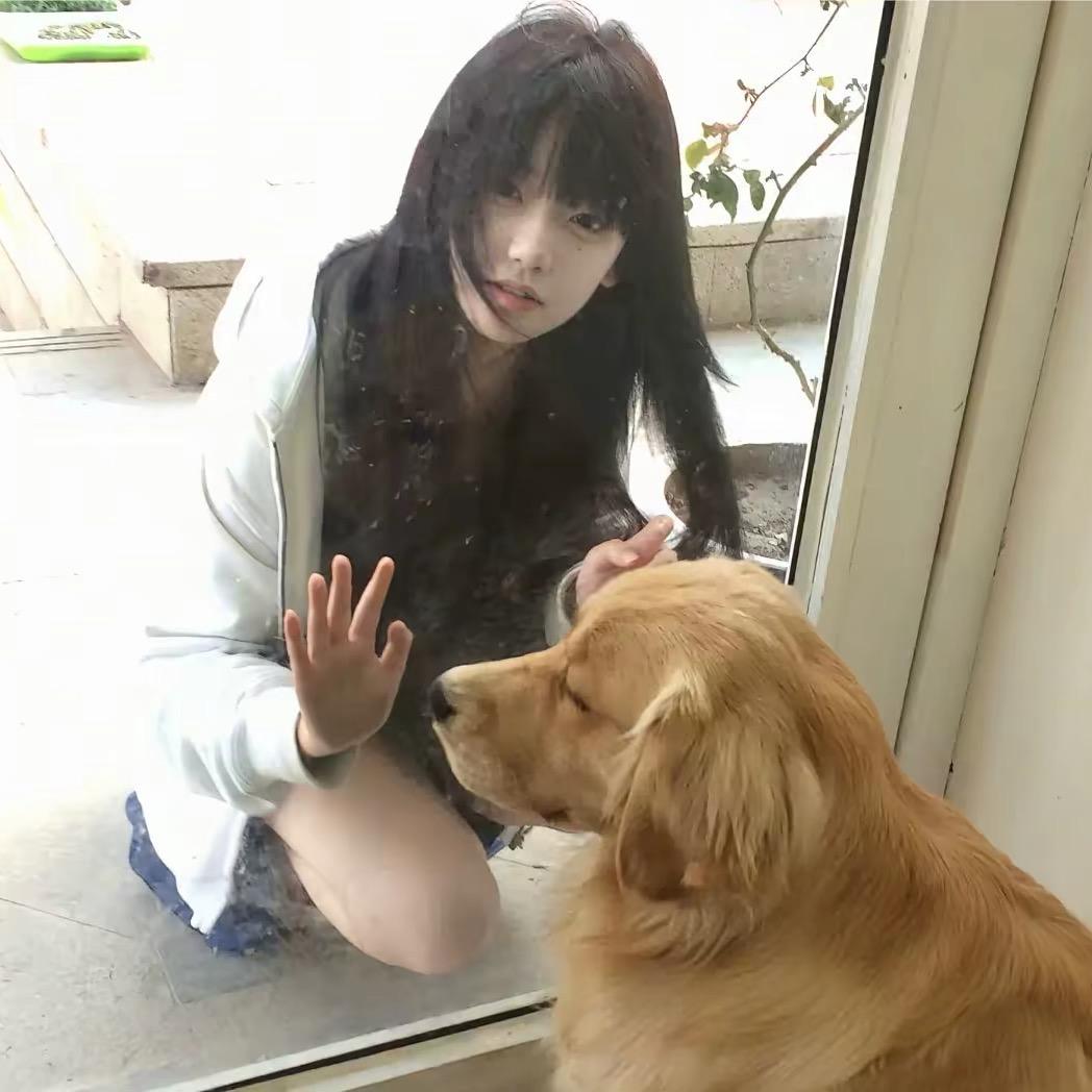 胡同