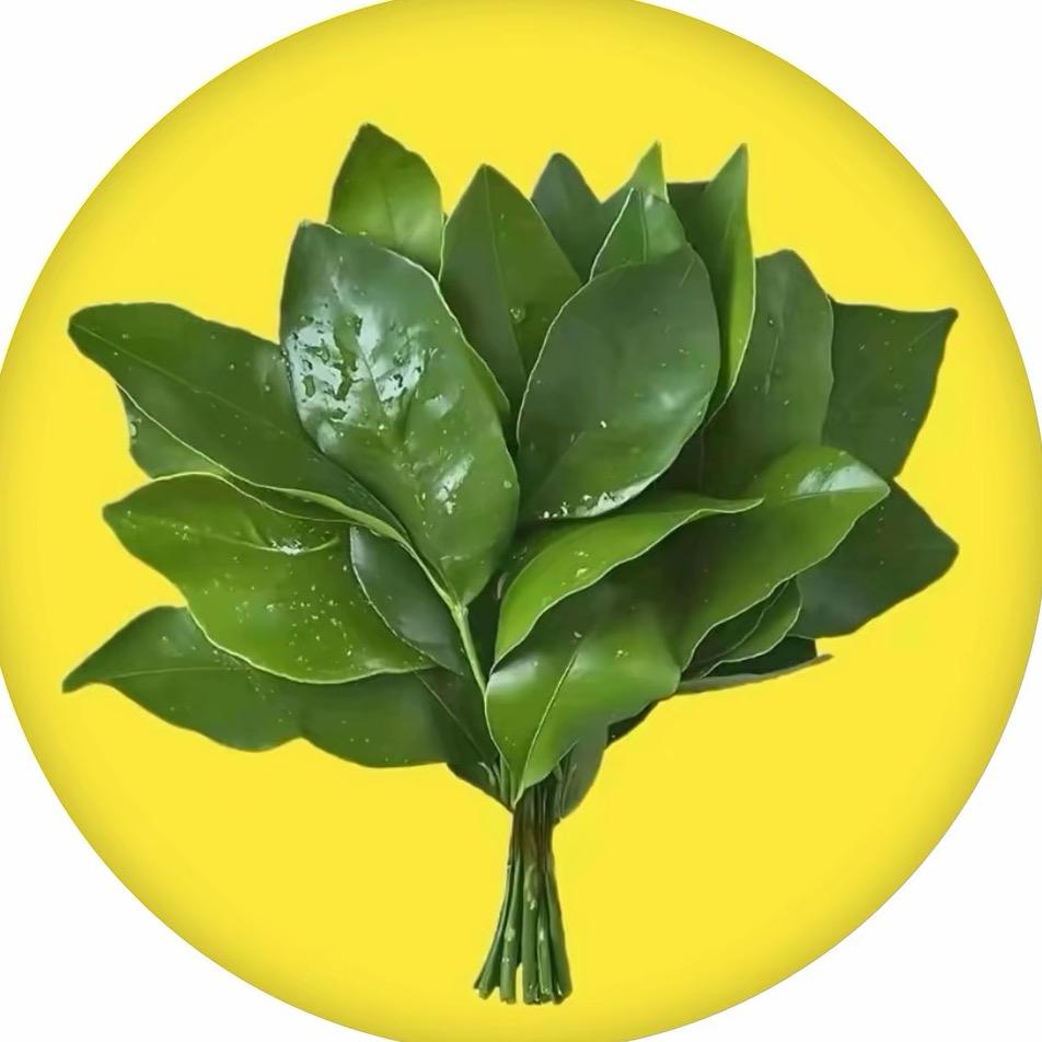 福气满满的胖呼呼