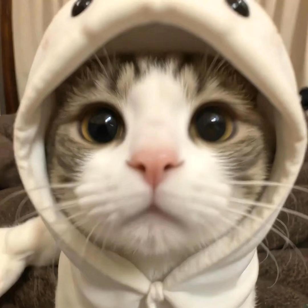 陪陪里