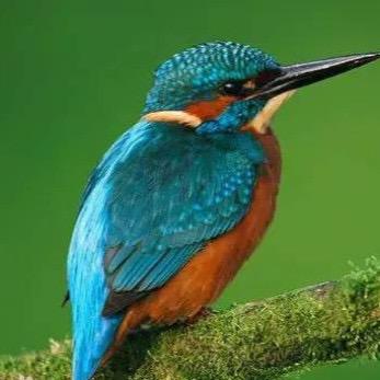 武子木日用好物小铺