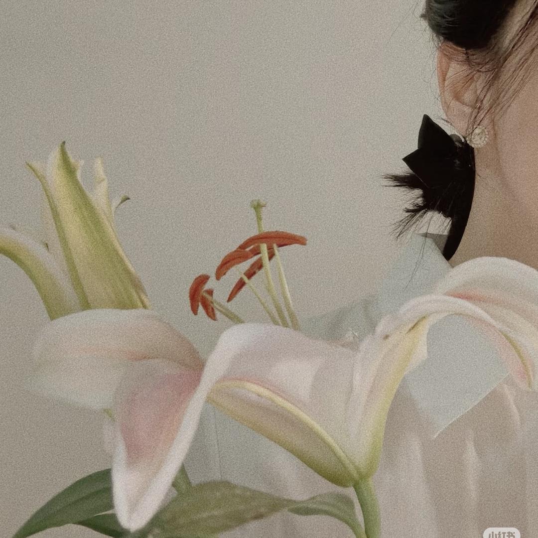 如如不动