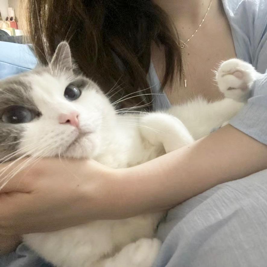 小鄧