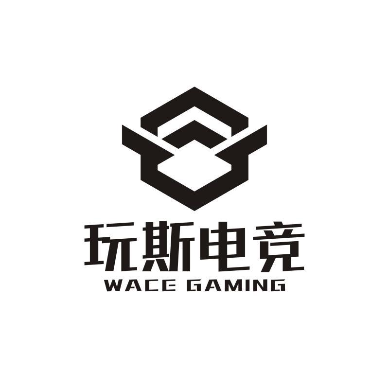 玩斯电竞