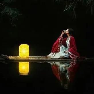 跳舞的狐狸