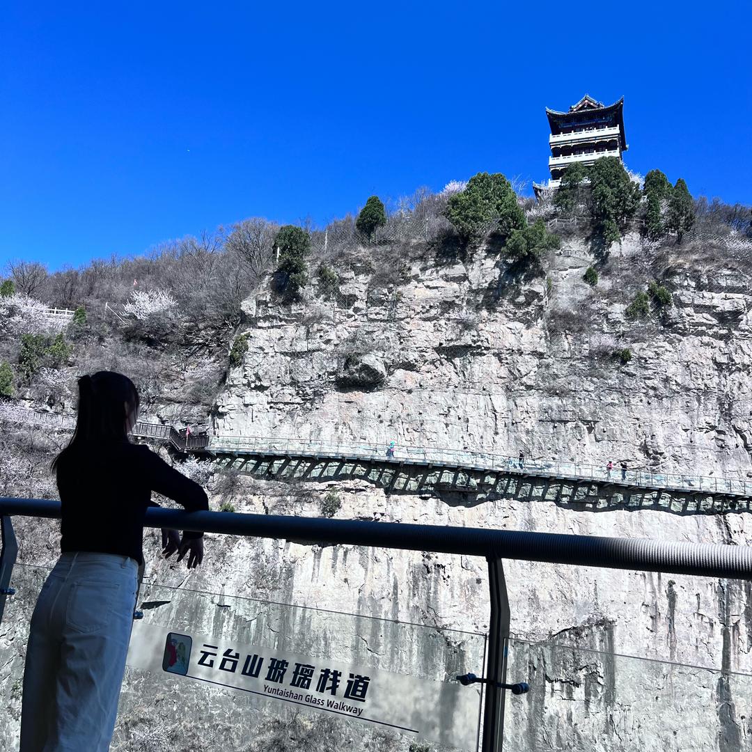 岁月静好@