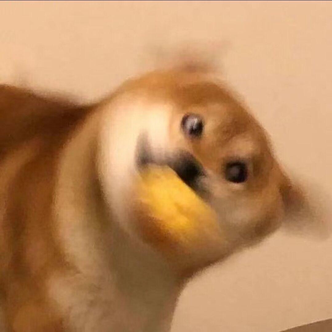 西西