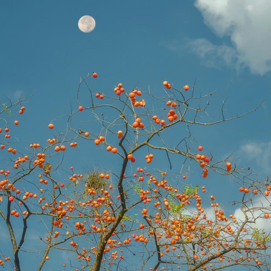 小董同学二手车