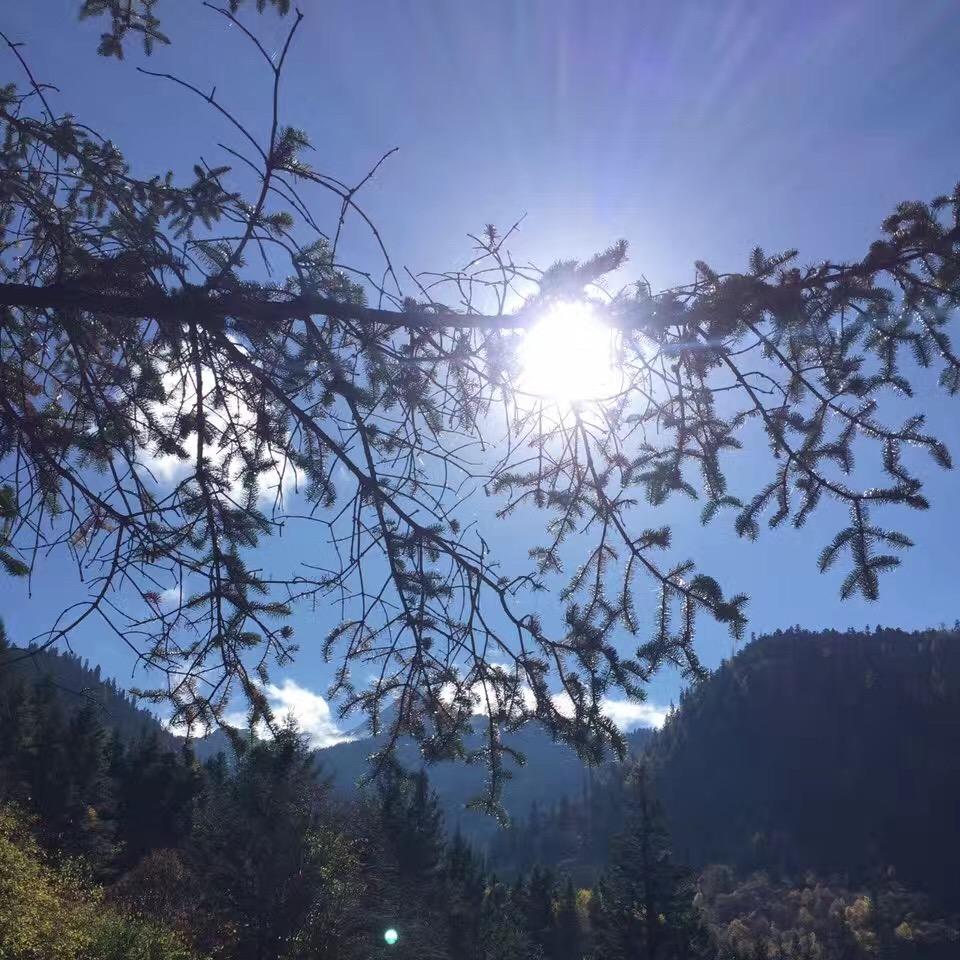陈小小