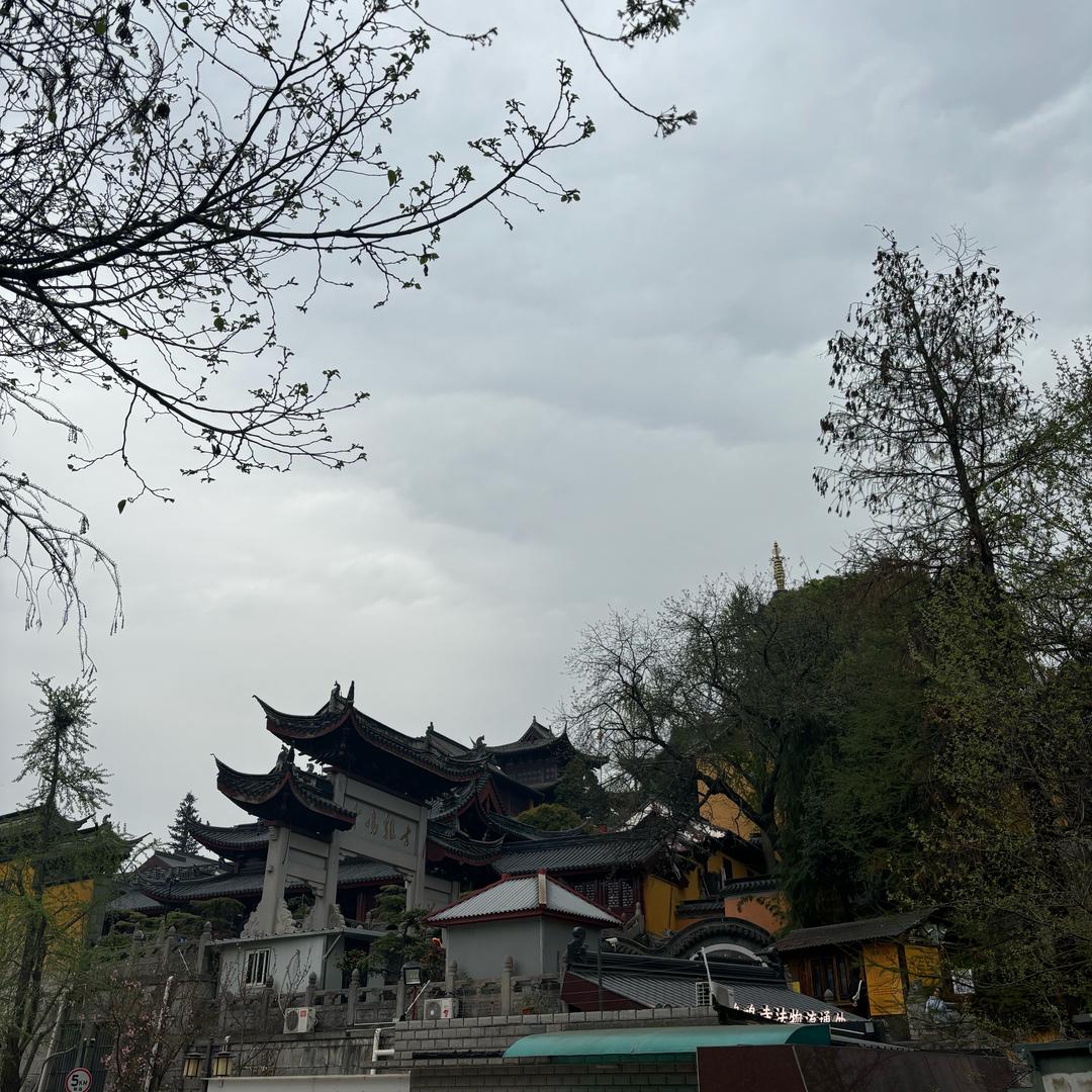 尽我所能.