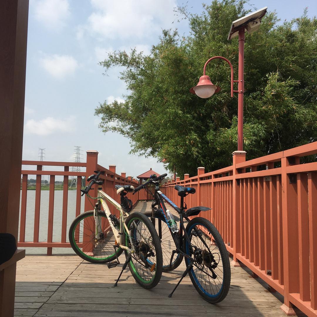 搬砖小伙子（aqi）