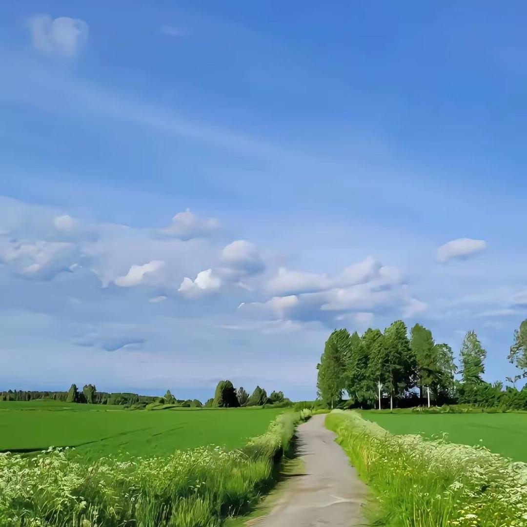 可思梦琪生活号