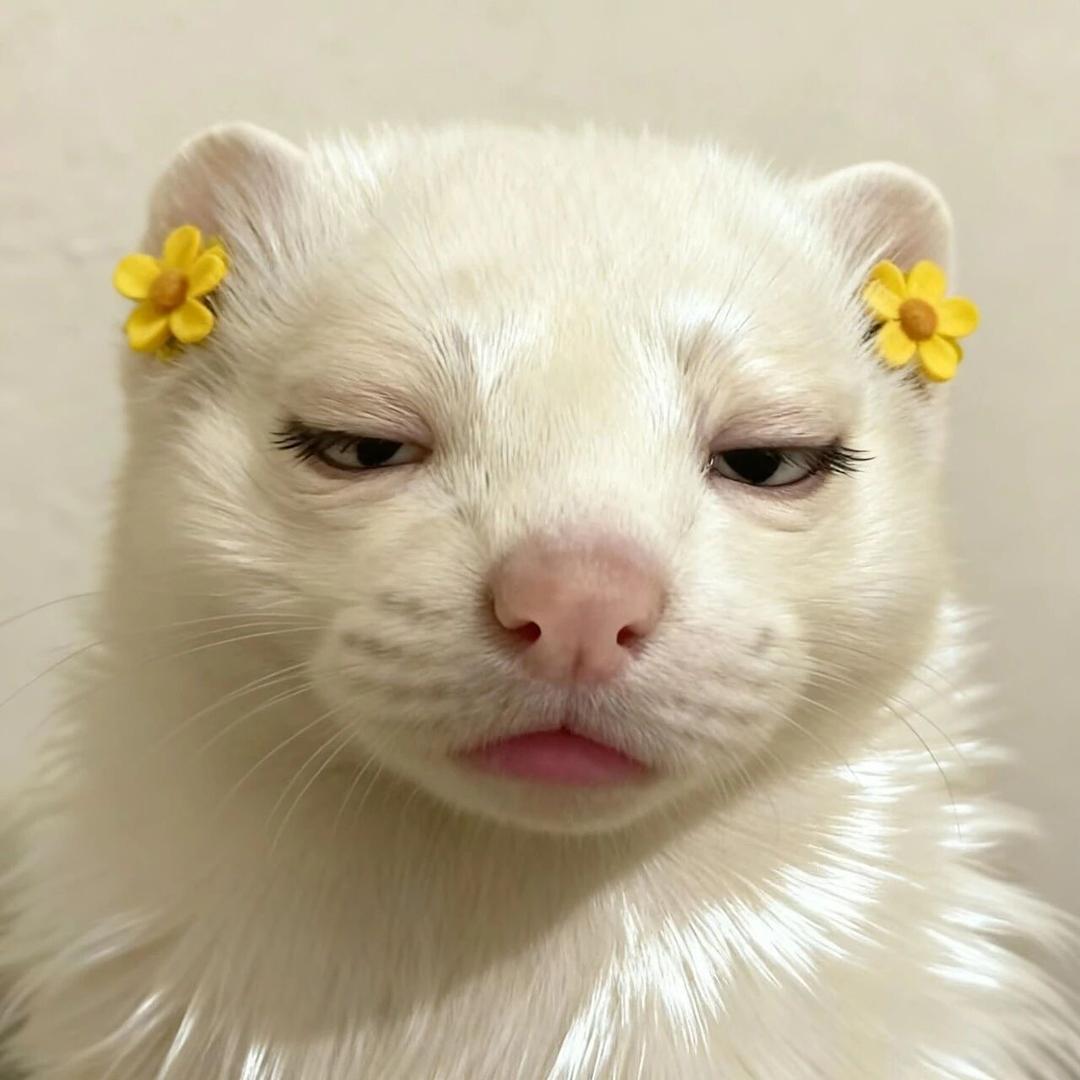 忙于喂鸡的农村妇女