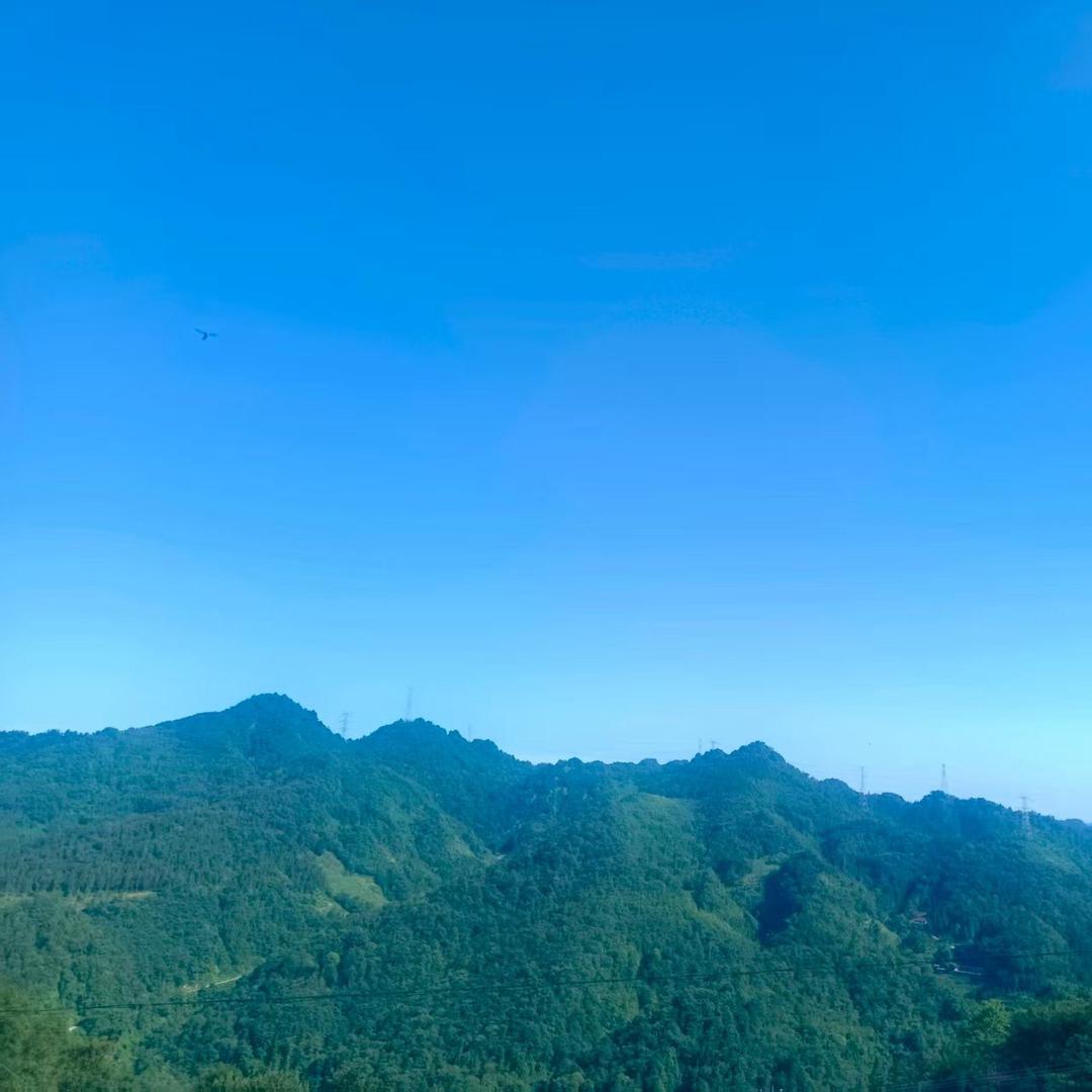 媛七爷