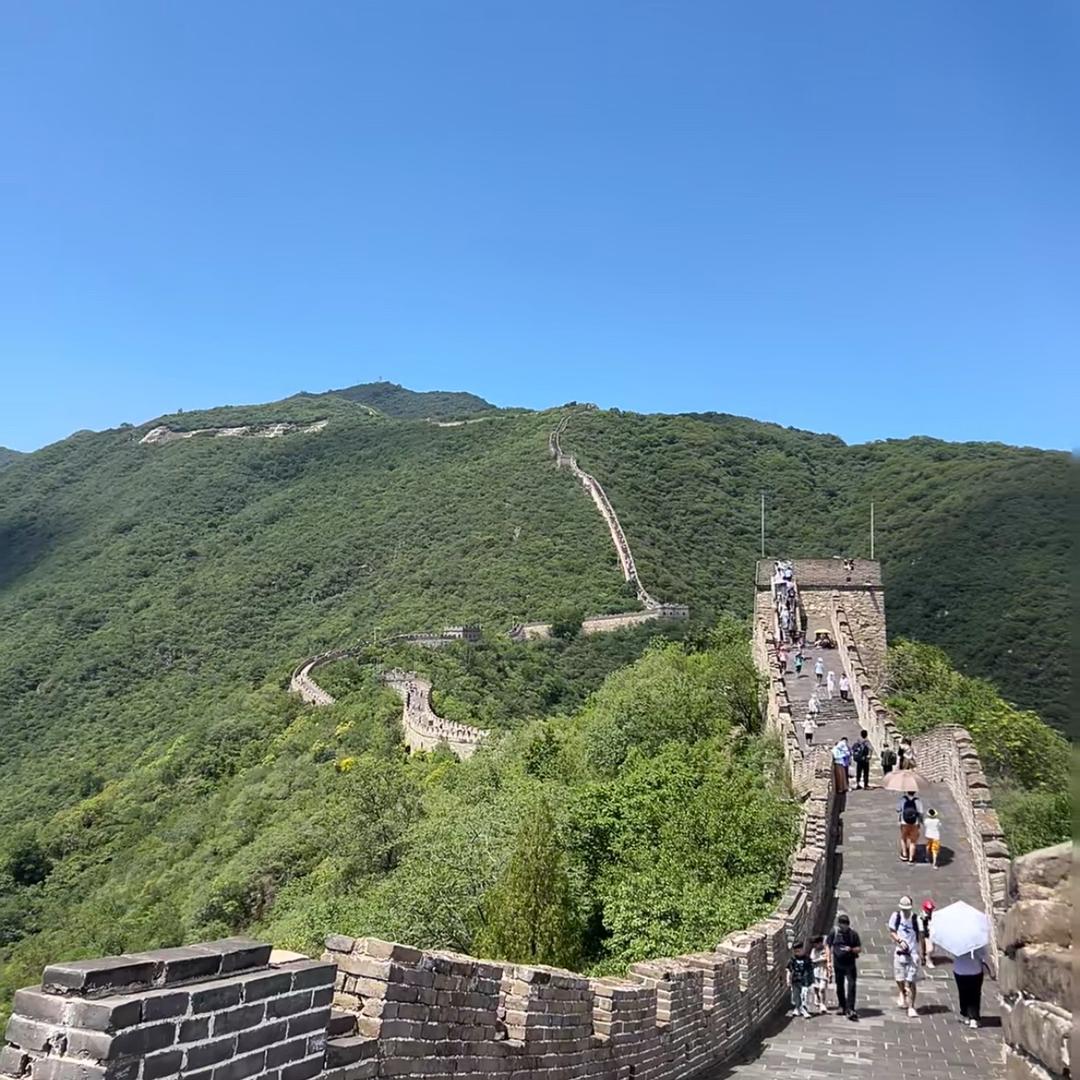 志强不息