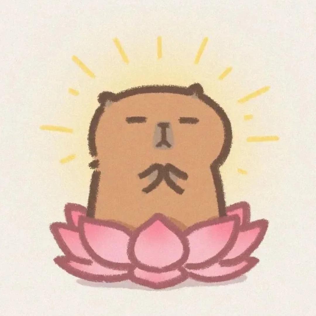 皮皮.