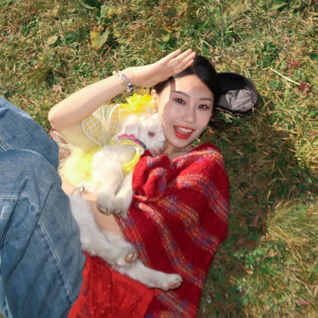 小石头的七七八八🪨