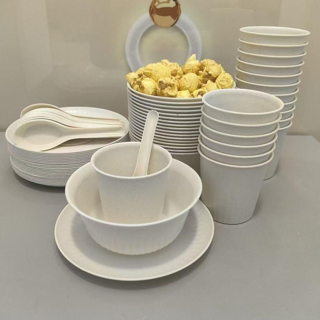 桦文一次性餐具