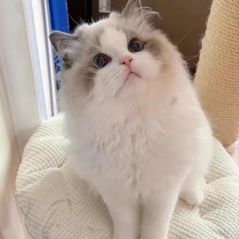 人生苦短、及时行乐