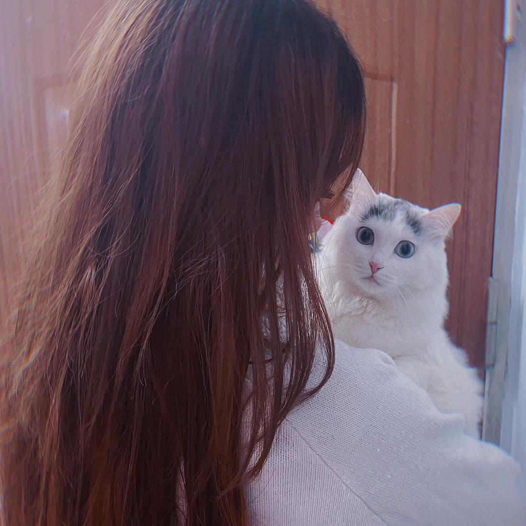 ✧嘉嘉酱是条小锦鲤💛