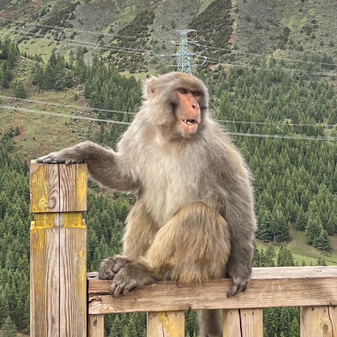 当你知道你是你的时候你不是你