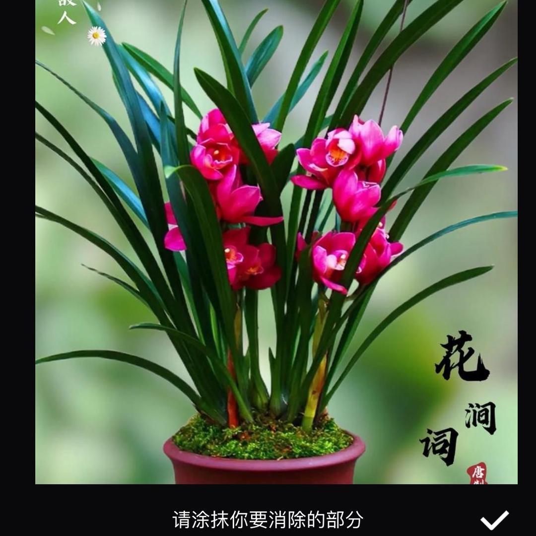 －抹幽兰